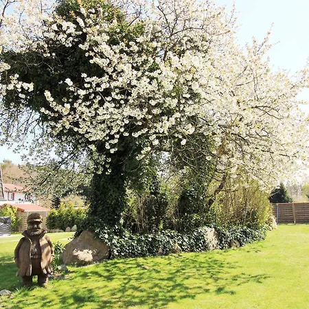 Ostseeresidenz 22 * Wischuer